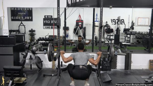 the barbell squat